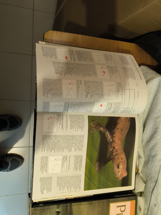 Vendo colecção dos circulo leitores - animais de todo o mundo