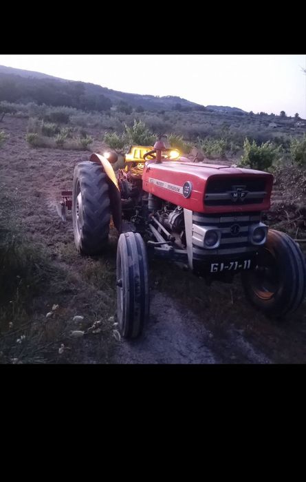 Massey ferguson 135