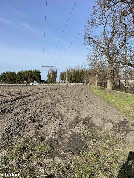 Działka, Żukówka
