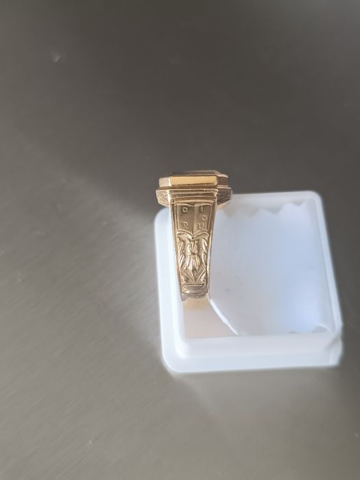 Anel Curso Lindíssimo - Politécnico Bragança