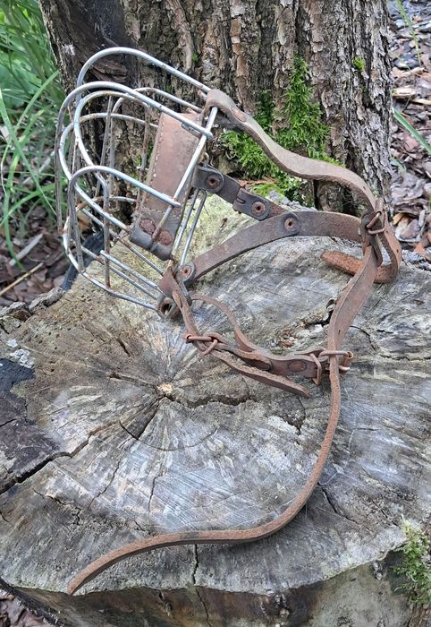 Kaganiec metalowy dla dużych ras psów