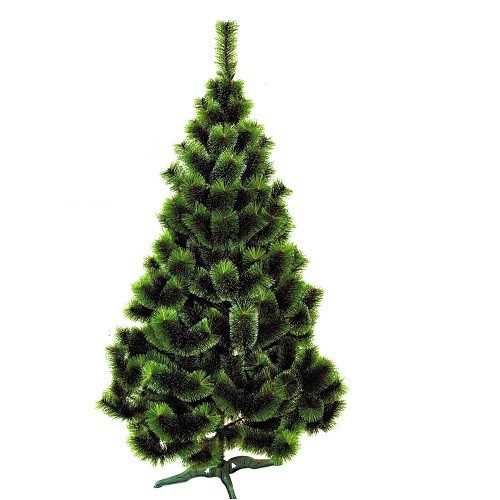 Ялинка-сосна темно зелена