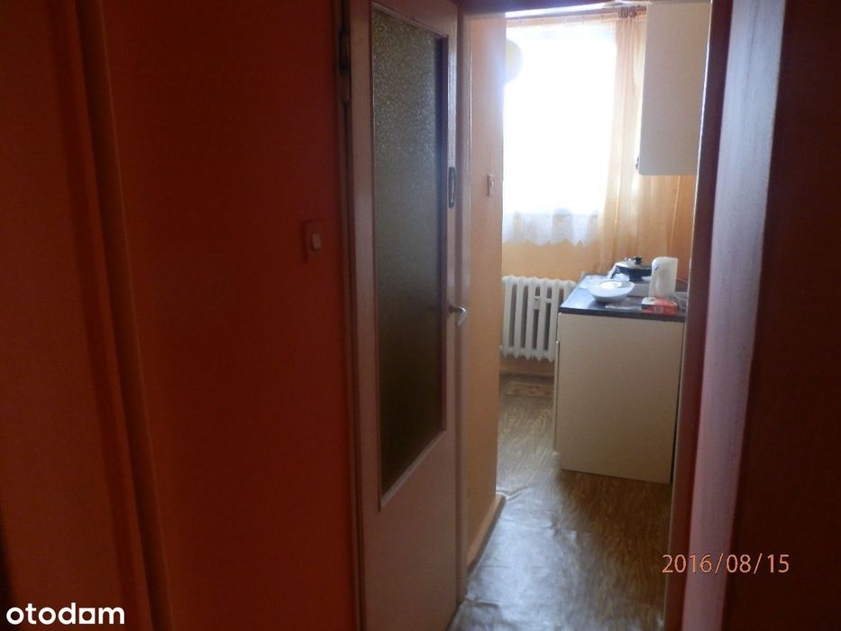 Zdjęcie 3