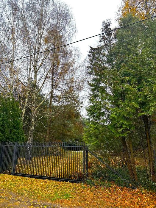 Łomianki Dolne | DZIAŁKA 3000 m² na dom z charakterem, ogrodem i śliwkowym sadem - Widok 2