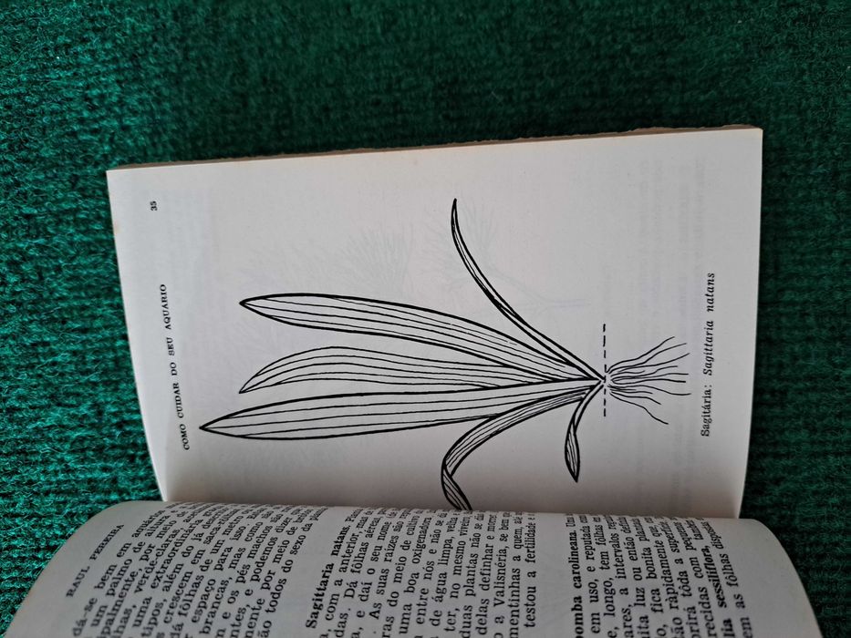 Como cuidar do seu aquário - Raul Pereira