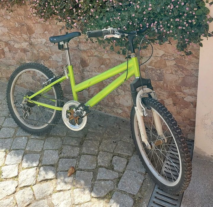 Bicicleta Criança R20