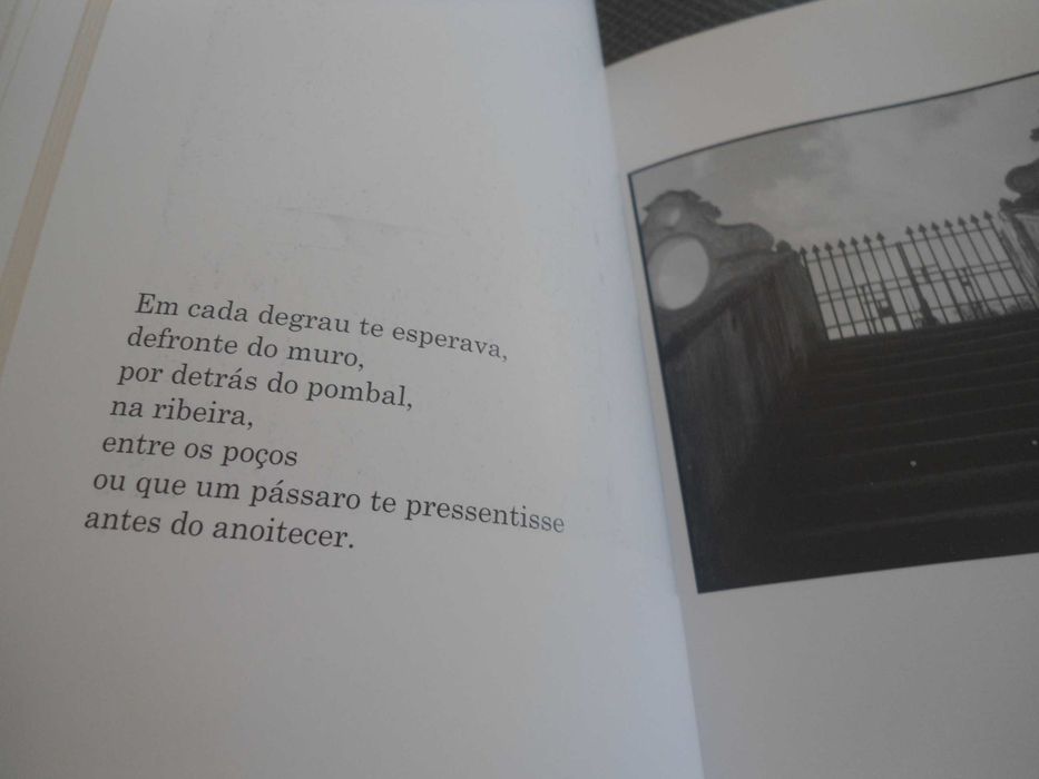 Manhã inacabada ou a vereda da memória de Ulisses Rolim (1996)