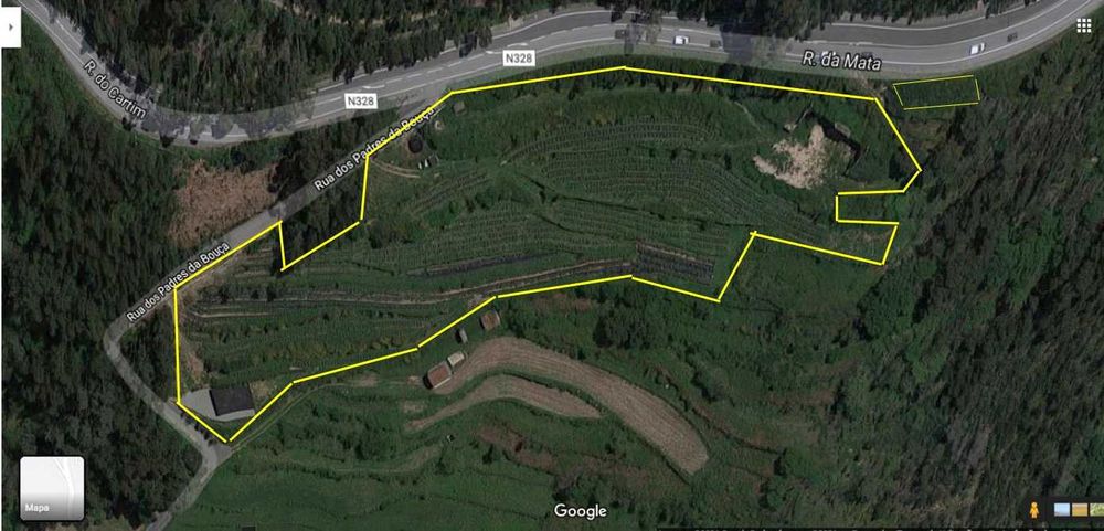 Terreno - São Pedro de Castelões