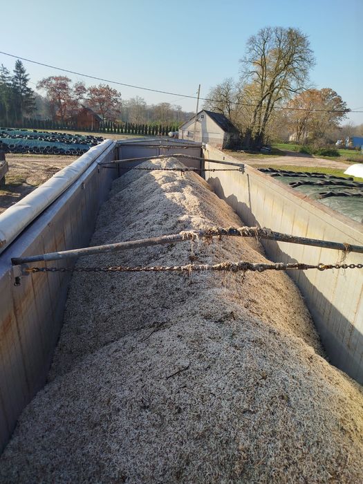 Wysłodki buraczane wytłoki mluto buraki pasza