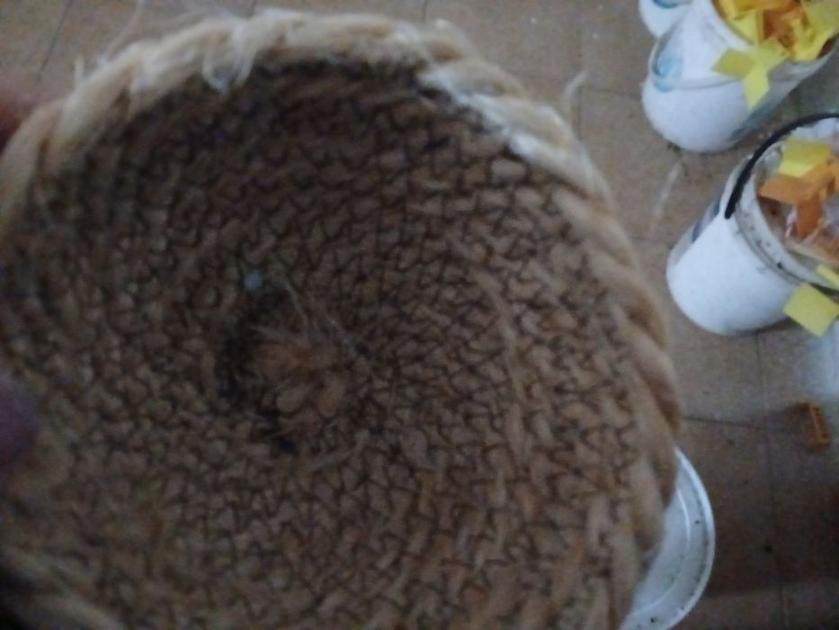 Suporte de ninhos e ninhos em corda