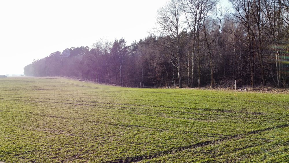 Działka budowlana Bory Tucholskie