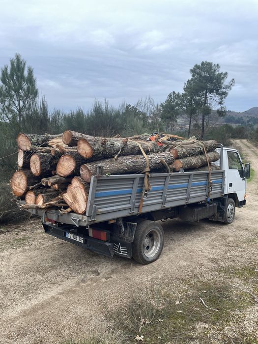 Vendo Lenha de carvalho pinheiro amieiro e eucalipto