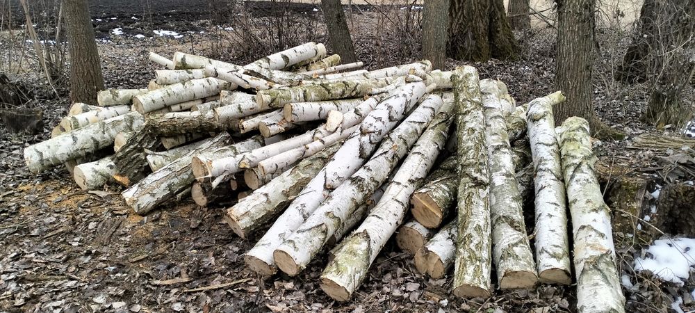 Продам дрова,береза та дуб.