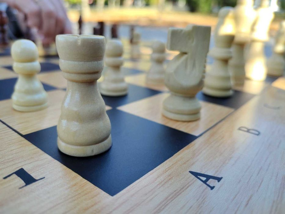 Шахматы. Нарды. Шашки. 3 в 1