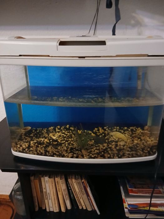 Продам аквариум б/у