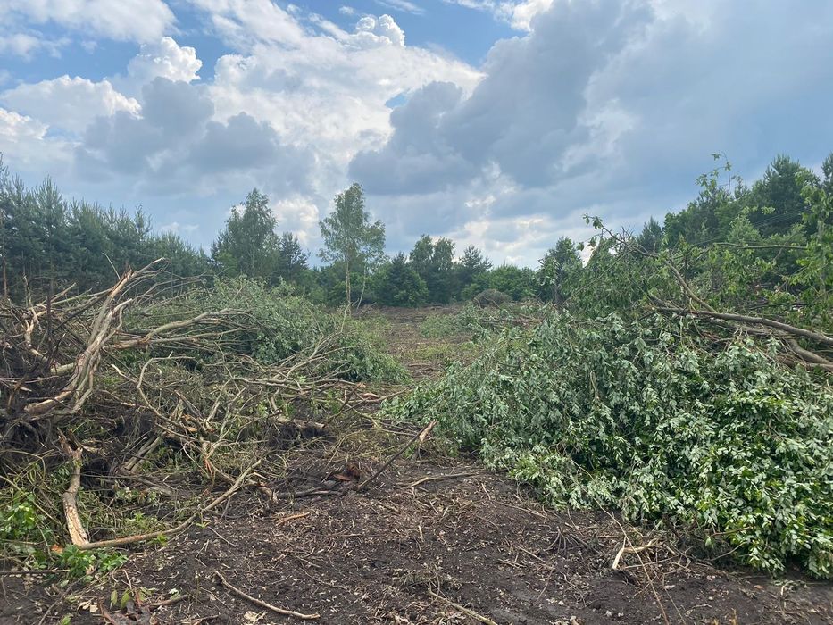 Likwidacja sadów zarośli krzaków krzewów wycinka frezowanie mulczer