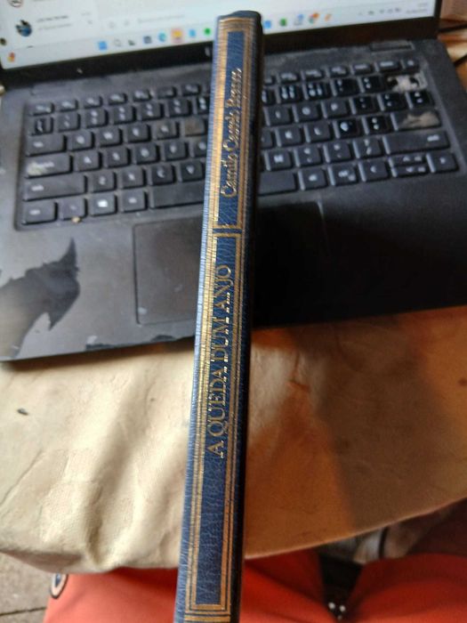 Camilo Castelo Branco, A Queda de Um Anjo