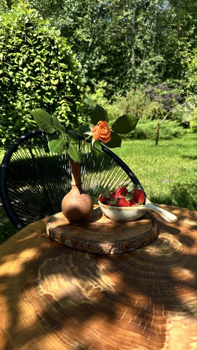 Оренда будинку в лісі із бассейном, чаном і сауною. Без чусідів