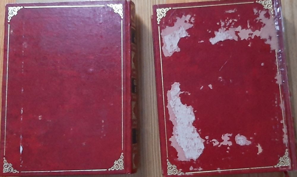 Guerra e Paz Leon Tolstoi 2 volumes