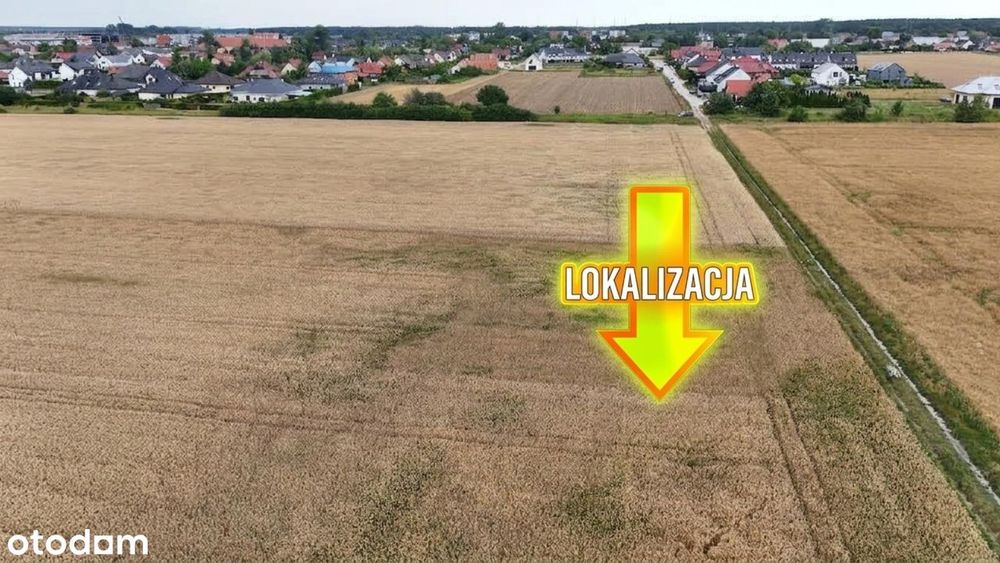 Zdjęcie 5