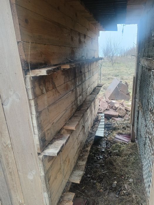 Klatki dla królików