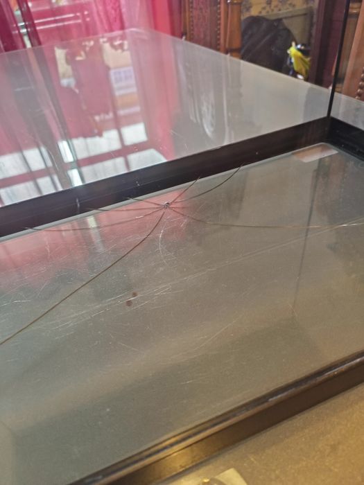 Aquário de peixes varidados