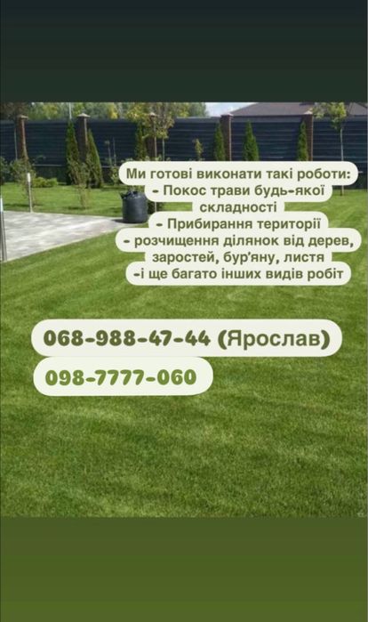 Зрізання дерев обрізка дерев розчищення ділянок покос трави