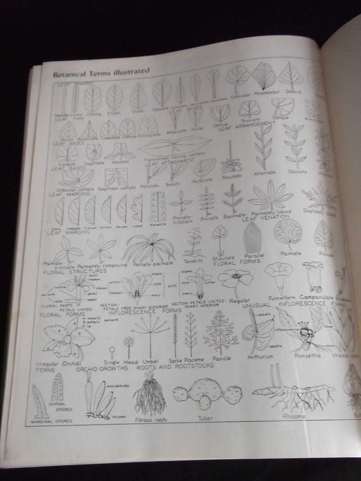 Livro Exotica pictorial cyclopedia edição centenário botânica Plantas