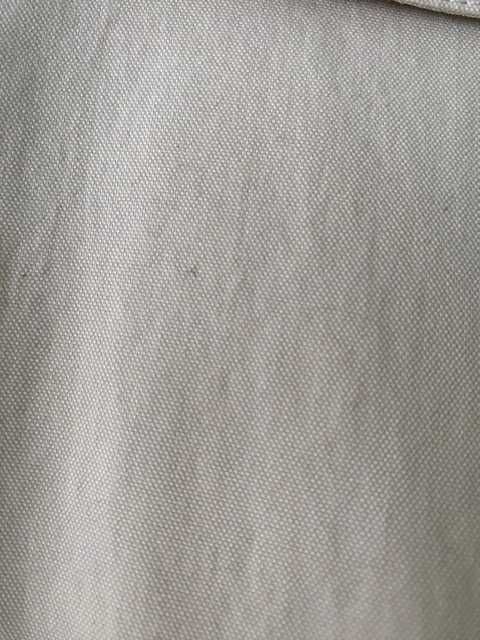 Prochowiec na wiosnę.