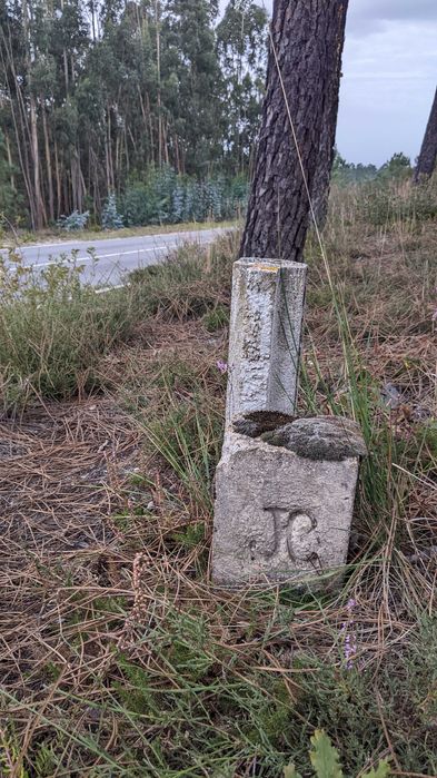 Grande Propriedade Arganil-Bairro da Gândara com 70 Mts Frente estrada