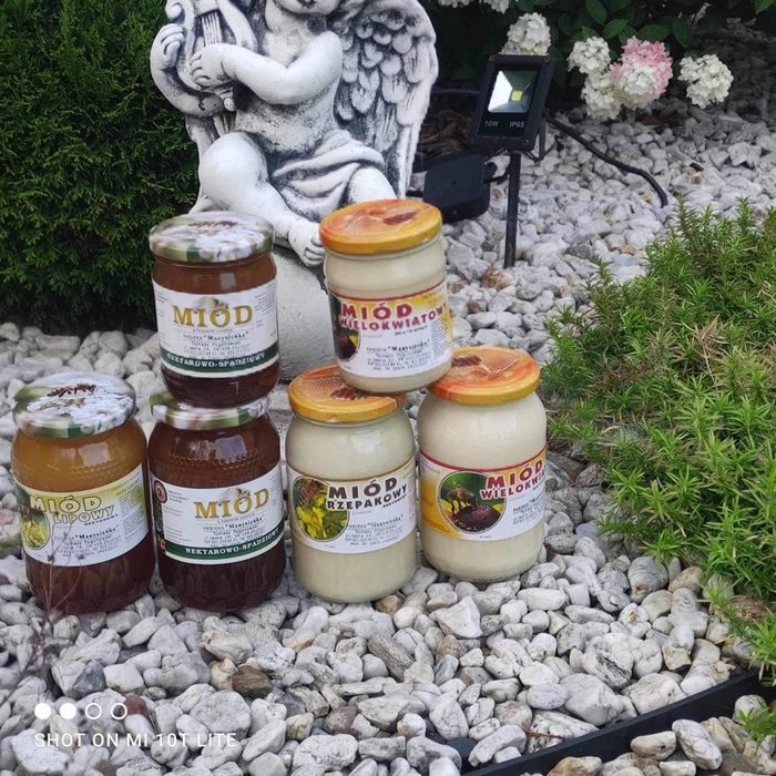 Sprzedam miód wielokwiatowy i rzepakowy