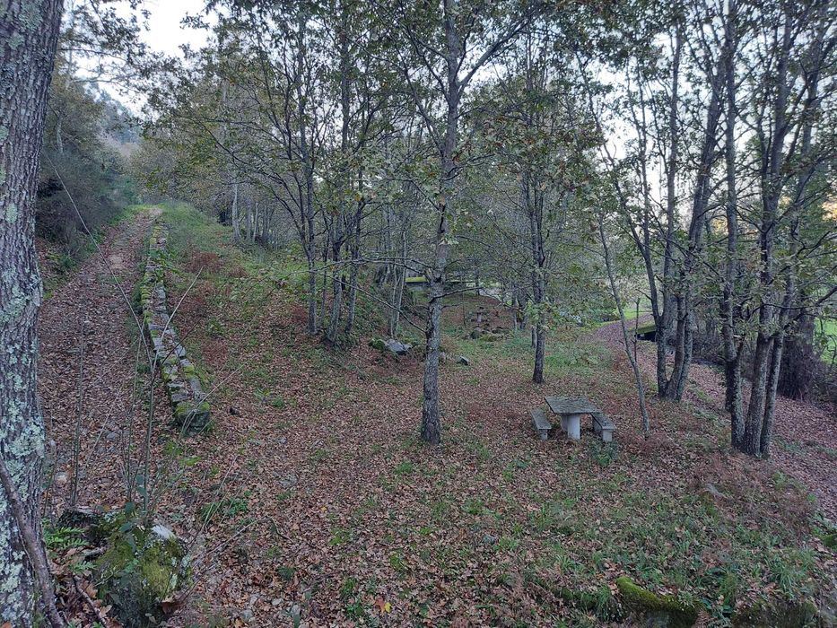 Terreno/Quinta de Lazer com 2.580 m² junto à Ribeira de Juncal | Soalhães