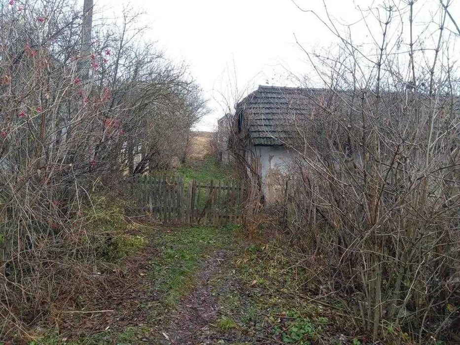 Продаж земельної ділянки в с.Кнісело, Бібрська міська рада