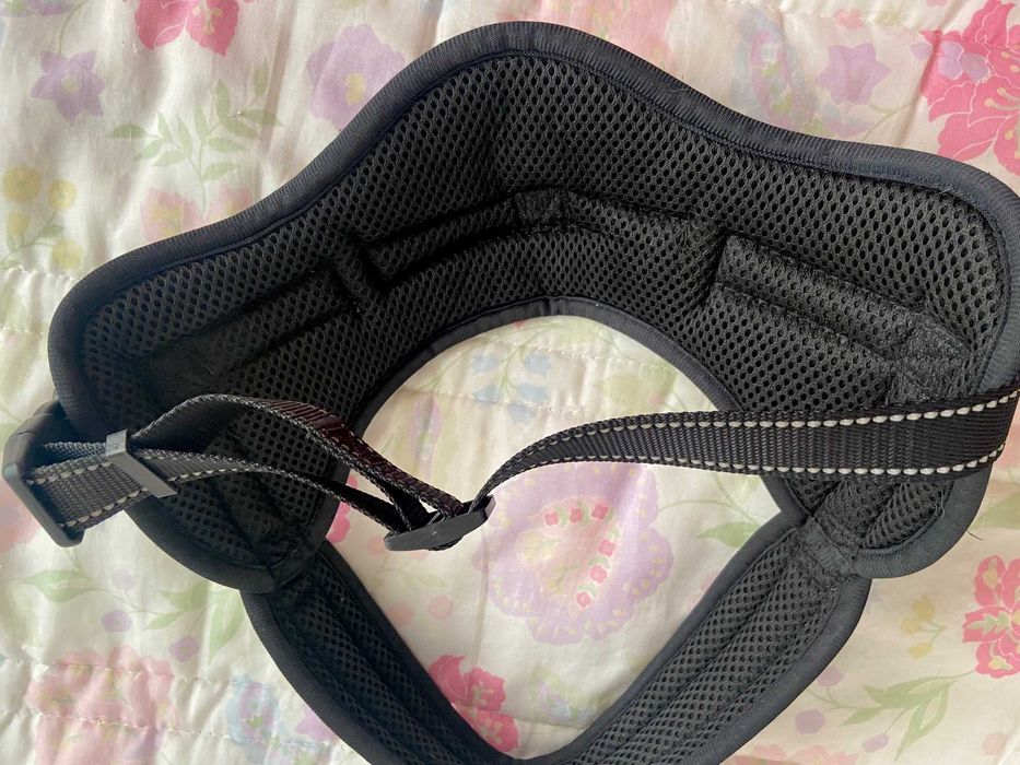 Conjunto de Peitoral e Trela Flexi para Cão Grande