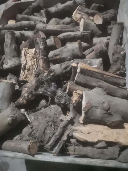 Drewno opałowe, kominkowe