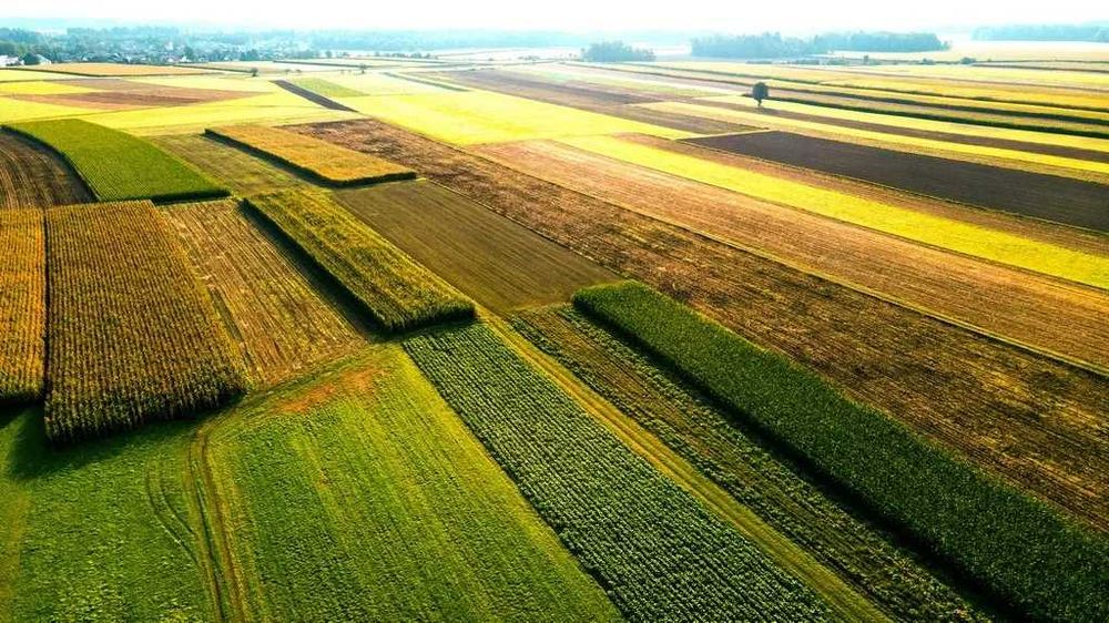 Sprzedam ziemię rolną