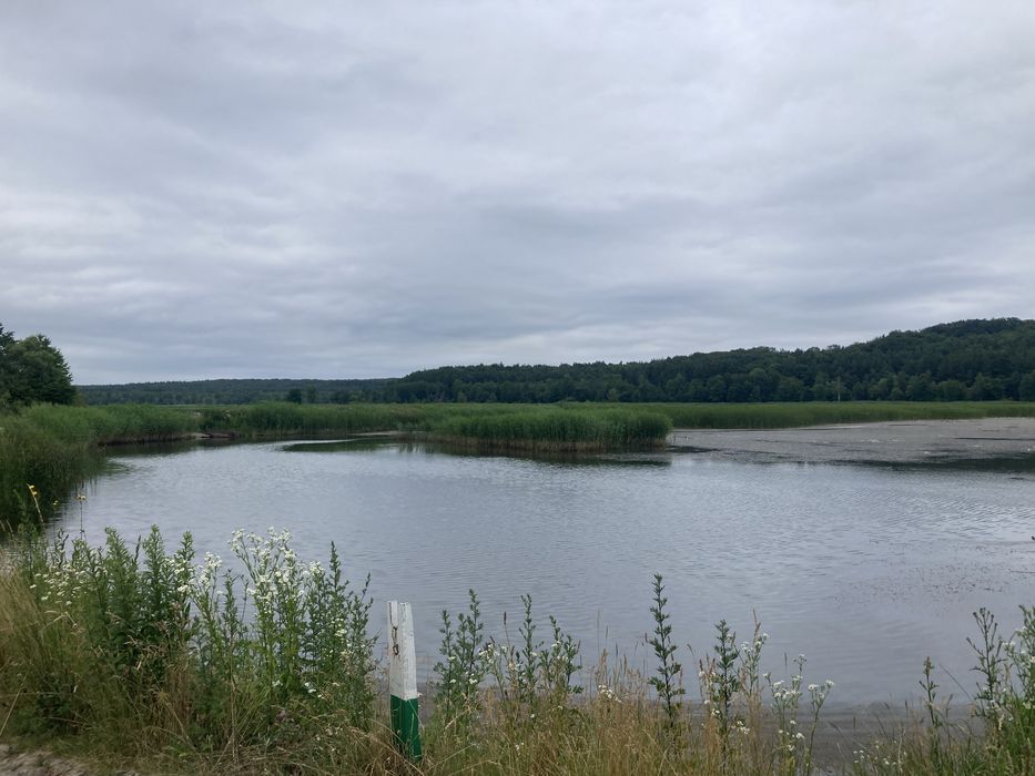 Продаж земельної ділянки  біля озера  с. Лелехівка