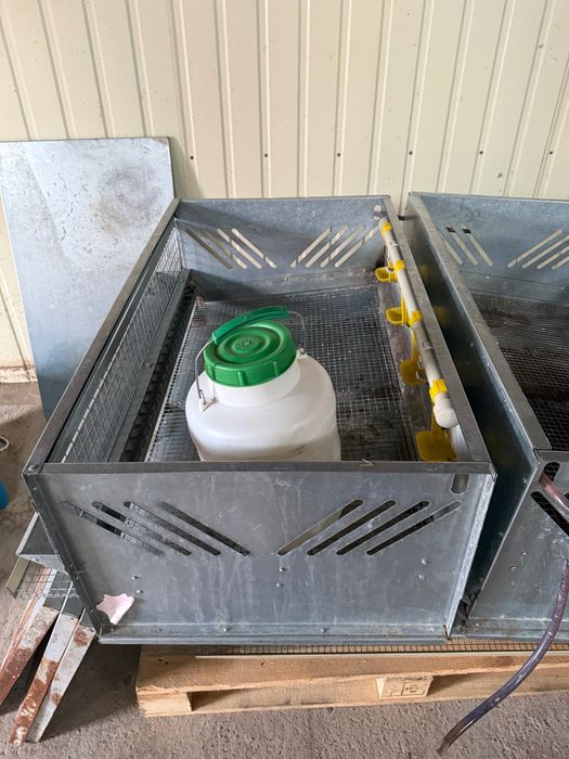 Клітка для перепелів