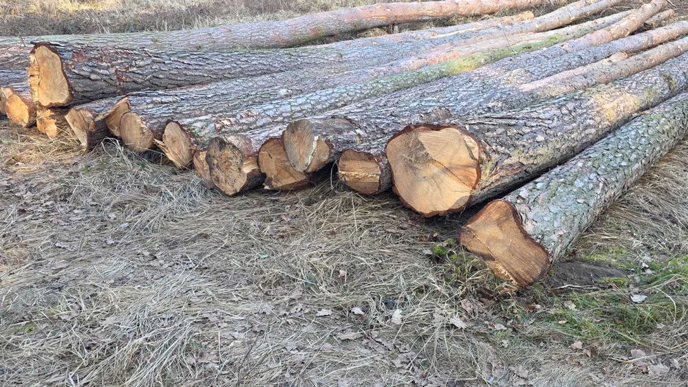 Sprzedam dłużyce tartaczną