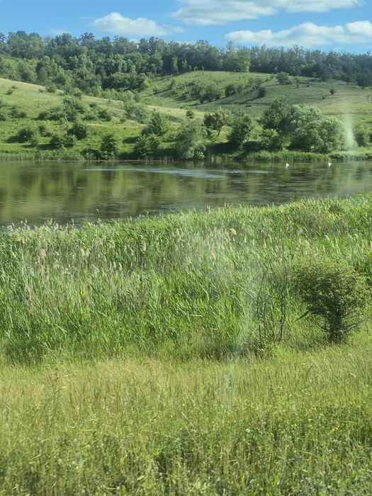 Продам 27сот Каменка,крайній від лісу з власним озером.