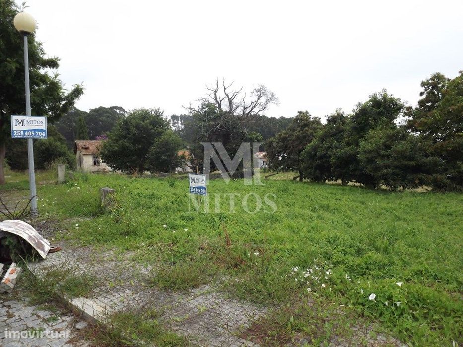 Lote - Seixas