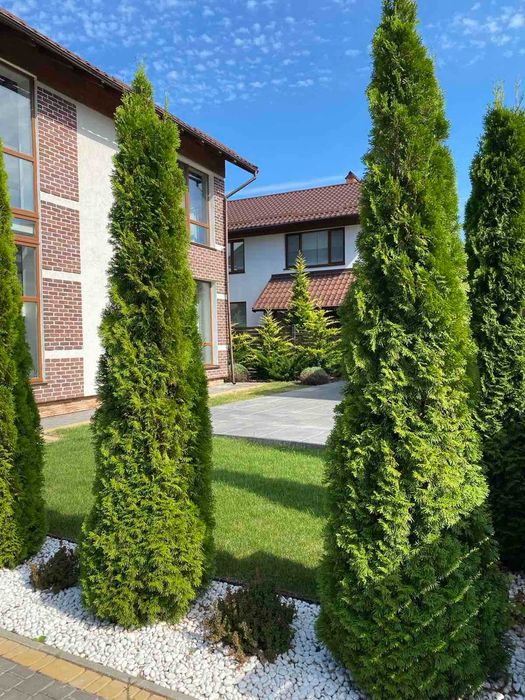 Дом у моря  на ул.Дача Ковалевского