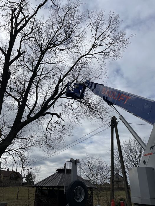 Wynajem Podnośnika Koszowego z Operatorem