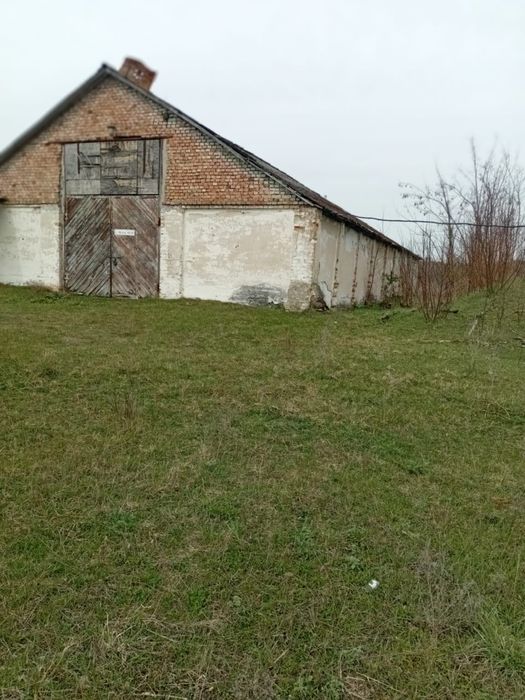 Продам зерно склад