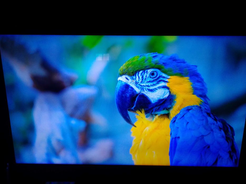 Smart tv Samsung 4K QLED de 55 polegadas.