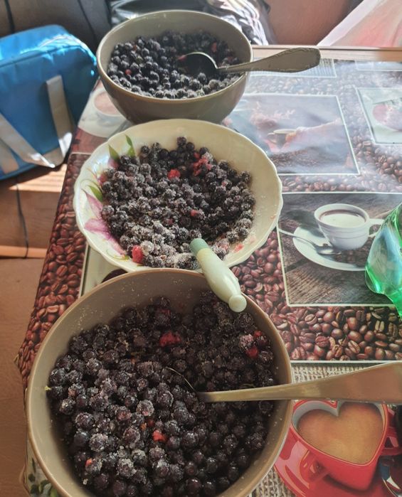 Продається мальовничий участок біля лісу, Кочерів,