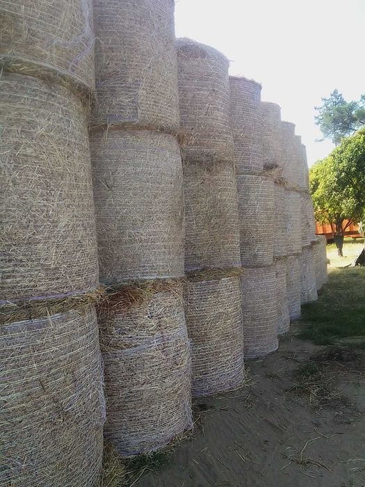 Vende se rolos de palha
