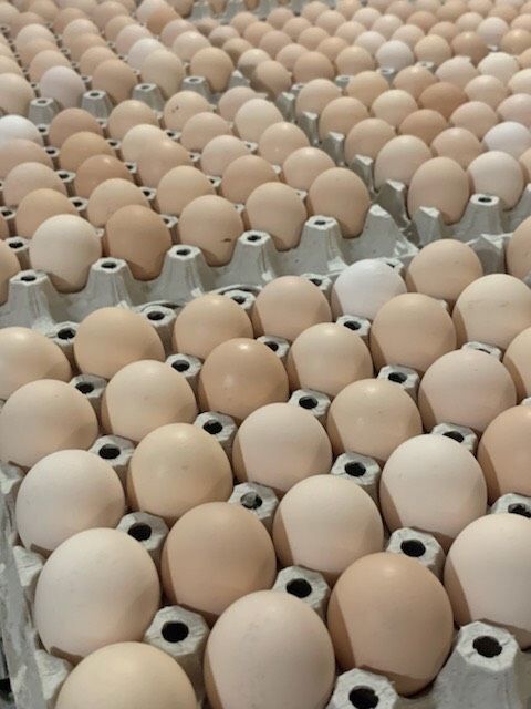 Яйцо с Птицефабрики фермерское