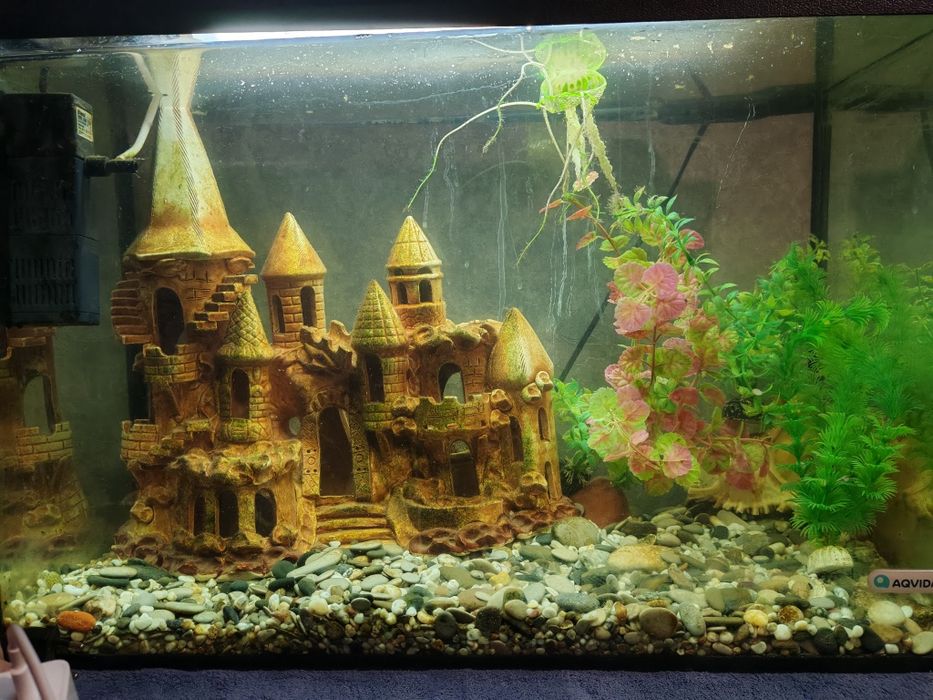 Акваріум з фільтрами і кришкою