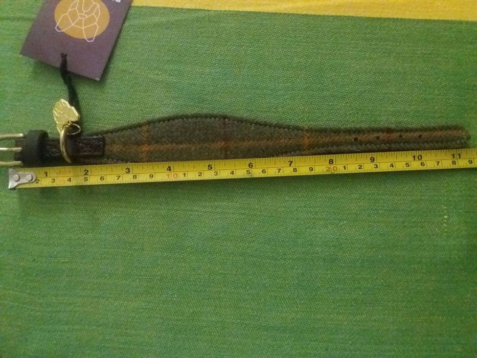 Coleira para cão de pequeno porte